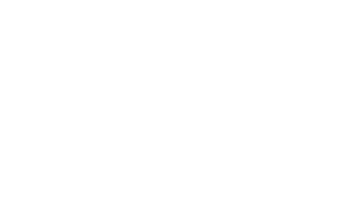 Wallonia Services